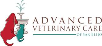 We did not find results for: Advanced Veterinary Care Of San Elijo Veterinarian In San Marcos Ca Us