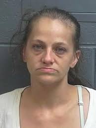 Months-long investigation nets multiple arrests