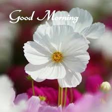 Good morning images - Photos | Facebook