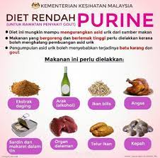 Ubat gout ini berfungsi dalam dua cara yang berbeza, iaitu untuk merawat gejala gout akut dan mencegah pengulangan gout. Rawatan Penyakit Gout Diet My Cni Produk Kesihatan Facebook