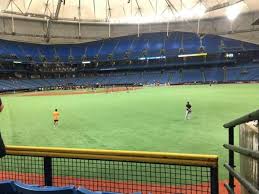 photos at tropicana field