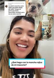Respuesta a @Flor Castro ¿Qué hago con la mancha color rojizo que se le  hace a mi mascota? #paratiiiiiiiiiiiiiiiiiiiiiiiiiiiiiii #bulldogsoftiktok  #bullgodfrances #frenchbulldog #feenchiepuppy ...
