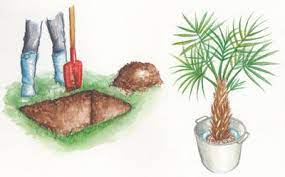 Vidaxl plante artificielle avec pot palmier vert 120 cm. Planter Un Palmier Gamm Vert