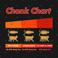Fat Cat Meme Chonk Chart Funny Pet Lover Gift