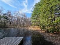 Mindfulness Bird-nature hike at Earle Park