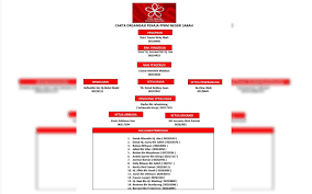 On 10 june 1994, it was officially accepted as one of the component parties in the. Chart Showing Hierarchy Of Sabah Ppbm Causes Uneasiness Free Malaysia Today Fmt