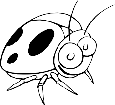 Bouquets with hand drawn flowers and plants in the vector image on vectorstock. Ladybug 17 Black White Line Art Flower Scalable Vector Insect Clip Art Black And White Png Download Full Size Clipart 8533 Pinclipart