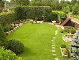 Image result for Živý plot z habru