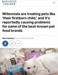 Millennials Reply To Being Accused Of Ruining The Pet Food Industry By Saying It S Not Their Fault Food Animals Pets Animal Antics