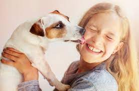 Maybe you would like to learn more about one of these? Adopt A Pet From These Animal Shelters In Nyc Nymetroparents
