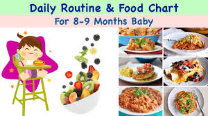 Daily Routine Diet Chart For 8 9 Months Baby In Hindi With Complete Details
