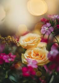 Check spelling or type a new query. Flower Photography 10 Incredible Photos By Lucy Ketchum