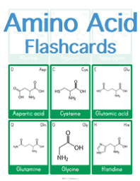 Balancing Chemical Equations Worksheet Customizable Flashcards Biology College Biology Resources