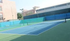 Barney indoor sports, queen creek, az. Sports Facilities India Club Dubai