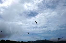 Maybe you would like to learn more about one of these? 5 Cara Menikmati Liburan Di Langkawi Efenerr