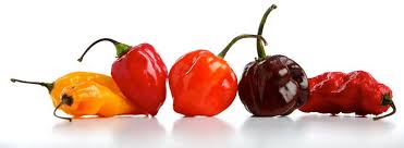 Top 10 World S Hottest Peppers 2020 Update New Hottest Pepper