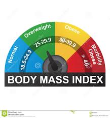 Bmi Or Body Mass Index Infographic Chart Stock Vector