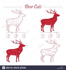Deer Venison Meat Cut Diagram Sheme Elements Set Red On