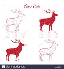 deer venison meat cut diagram sheme elements set red on