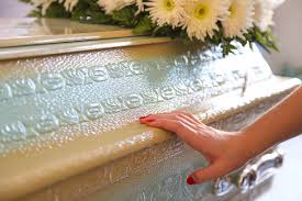 images?q=tbn:ANd9GcRQyVN1sJhv6JgihM-_npP