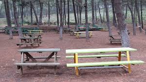 Aydos ormanı ve göleti merhaba, bu yazımda, uğur mumcu mahallesi'nin hemen yanında yer alan aydos ormanı'nı ve aydos göleti'ni anlatacağım. Aydos Ormani Kapatildi Piknik Alanlari Bos Kaldi Youtube