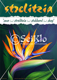 Pin On Poetry Posters