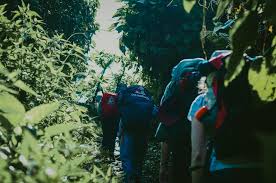 Persahabatan Bukanlah Sesuatu Yang Anda Pelajari Di Sekolah Jika Anda Belum Belajar Tentang Arti Persahabatan Maka Sesungguhnya Anda Sahabat Sekolah Belajar