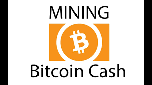 Currently, according to bitinfocharts, mining bitcoin cash for one thash/s (a trillion hashes per second) will, on average, bring a profit of $1.3526 a day. How To Mine Bitcoin Cash And Is It Worth It Youtube