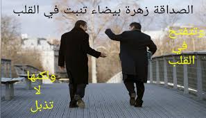 يمكن أن تعبر هبة الزهور عن مجموعة كبيرة من المشاعر: Ø£Ø¬Ù…Ù„ Ø§Ù„ØµÙˆØ± ÙˆØ§Ù„Ø¹Ø¨Ø§Ø±Ø§Øª Ø¹Ù† Ø§Ù„ØµØ¯Ø§Ù‚Ø© Ø¬Ù†ÙˆØ¨ÙŠØ©