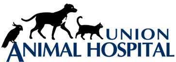 In a release, the union said the two sides had. Home Boulevard Veterinary Clinic