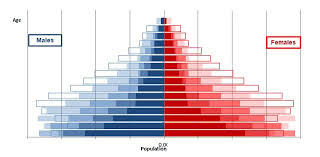 We did not find results for: Types Of Population Pyramids Planning Tank