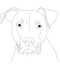 It's very sad that they have gotten a bad reputation. Pin On Fun Coloring Sheet
