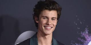 Shawn Mendes to release meaningful new album this fall: 'Music really can  be medicine'