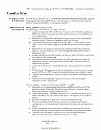 Consultant Resume Template. Leasing Consultant Resume Sample ...