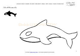 Show your kids a fun way to learn the abcs with alphabet printables they can color. Example Coloring Page Orca Color Picture Of Orca