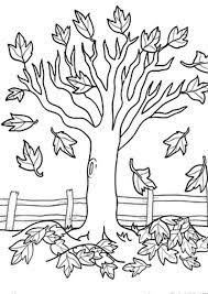 The spruce / letícia almeida landscaping enthusiasts have many options for achieving colorful ya. Coloring Pages Tree In Autumn Coloring Page