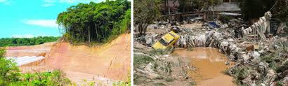 Deforestation occurs for multiple reasons such as trees are cut down to be used for building or sold as charcoal. Land Clearing Illegal Farming Landslide Mud Flood Cameron Highlands Cilisos Current Issues Tambah Pedas