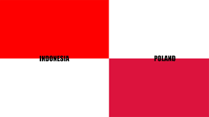 Thx for 1k views special indonesia vs. Indonesia And Poland Almost Have The Same Flag The Colors Are Just Inversed And The Two Flags Together Look Like A Whole New Country Flag Interestingasfuck