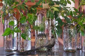 Growing flowers in wine bottles. Bottle Plants The Farmhouse Project