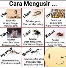 Tips nak halau semut tanpa racun #fyp #foryoupage #tips #petua #malaysiatiktok #malaysia #tiktoker. Tips Halau Serangga Nak Halau Semut Taburkan Serbuk Kopi Di Tempat Semut Suka Bau Kopi Tak Menyenangkan Hidungnya Nak Halau Lipan Taburkan Garam Bau Garam Dan Rasa Masinnya Si Lipan Ni Tak