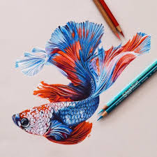 Jul 08, 2020 · it is composed of streaks and splashes. Easy Simple Fish Drawing Images With Colour Novocom Top