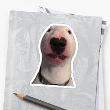 Walter Dog Meme Sticker By X Murphyarts X Redbubble Meme Stickers Dog Memes Stickers