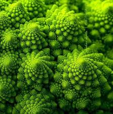 15 Plants That Teach Us Sacred Geometry Fractals In Nature Geometry In Nature Patterns In Nature