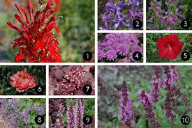 Find, attract, and engage customers: Attracting Pollinators To Your Garden The Dirt Blog Stauffers