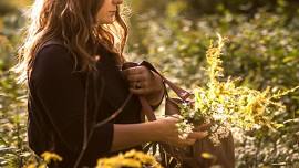 Foraging and Medicinal Plant ID