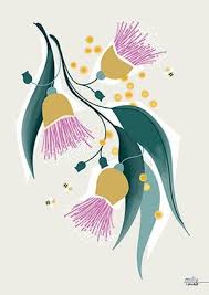 Graphic Gumnuts Art Print Milly And Mae Botanical Art Drawing Art Botanical Drawings