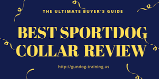 Best Sportdog Collar Model Review Complete 2019 Buyers Guide