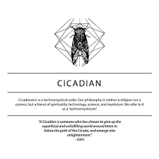 About cicadianism broods liber primus the test gematria primus theories. Theories About Cicada 3301 From Around The Net Steemkr