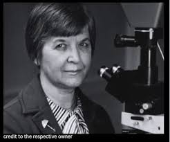 Stephanie Kwolek's invention of Kevlar has saved countless lives over the  past 50 years. Kevlar is a fiber five times stronger than steel that is now  used in a wide range of