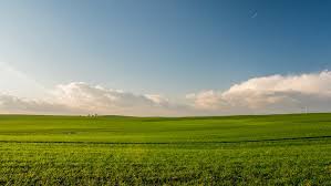 Selain itu juga hadir pengurus pokmas ptsl desa kemloko dan aparat desa kemloko yang diwakili oleh sekertaris desa kemloko. Program Ptsl 2021 Syarat Dan Prosedurnya Di Indonesia Rumah Com